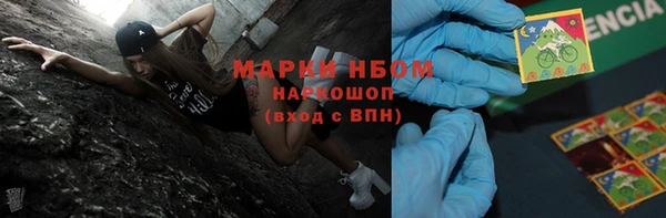 сатива Алексеевка