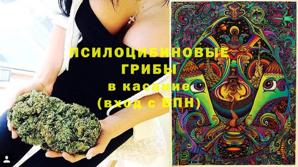 сатива Алексеевка