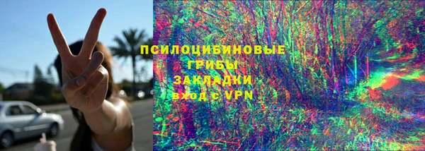 сатива Абаза