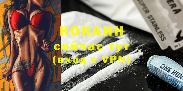 сатива Абаза