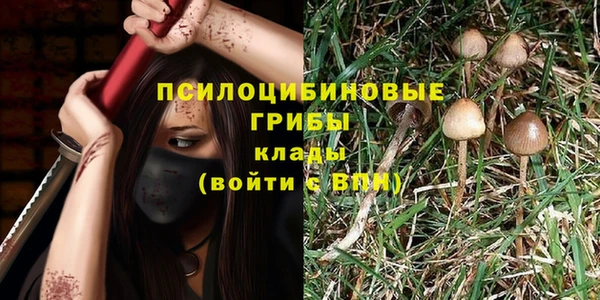 сатива Алексеевка